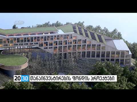 თანაინვესტირების ფონდის პროექტები /2030 (06.05.2016.)/