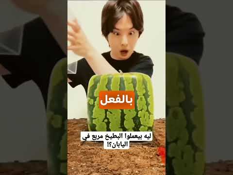 هما ليه بيعملوا البطيخ مربع في اليابان 