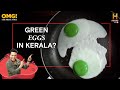 हरे अंडे | Green Eggs | केरल | Kerala