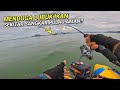 Ketuk Ketuk di Sekitar LUBUK SANGKAR IKAN Pulau Aman!