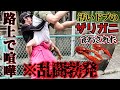 喧嘩した底辺YouTuberと汚いドブのザリガニを食べる 