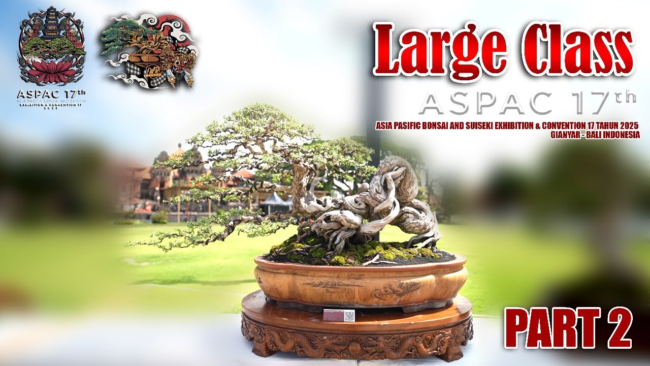 (PART 2) SIZE LARGE ASPAC 17th 2025 GIANYAR BALI