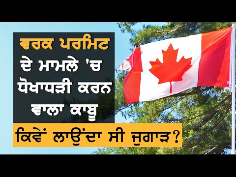 Canada: ਜੁਗਾੜ ਲਾ ਕੇ Work Permit ਦਿਵਾਉਣ ਵਾਲਾ ਆਇਆ ਕਾਬੂ || TV Punjab