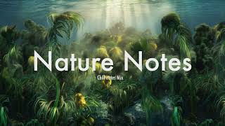 Nature Notes(chill notes mix)