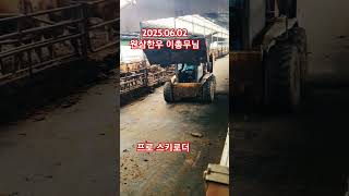 현대#스키로더 #한우#총무#한우단지#이프로#거세우#번식우#전문가