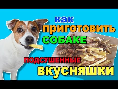 ЛАКОМСТВА для СОБАК своими руками/Как приготовить подсушенные вкусняшки для собак/Чипсы для собак