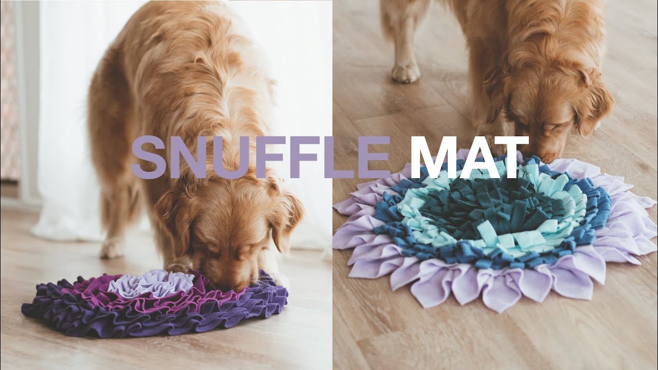 DIY Slinky Dog Snuffle Toy