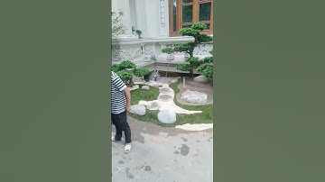 tiểu cảnh sân vườn nhật #shorts