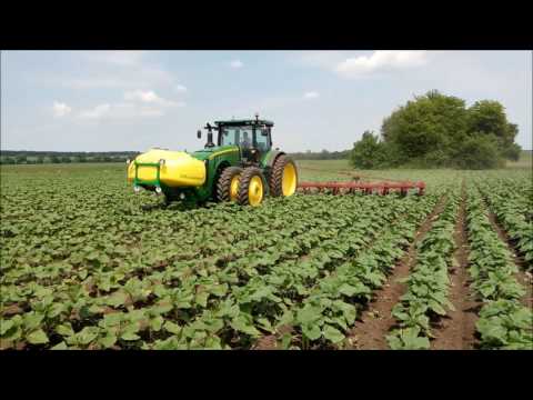 Видео: Тор амониев сулфат: приложение в градината, състав, употреба за пшеница през есента. За какво е необходимо? Инструкции за употреба