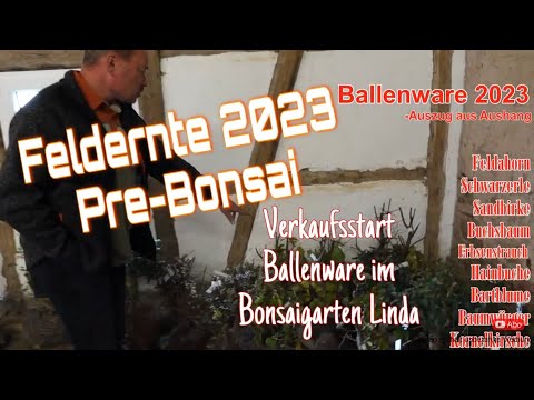 höhenverstellbarer schreibtisch bambus Vernal Core3 elektrisch höhenverstellbarer Schreibtisch – 160 kg Tragkraft  & 15 Jahre Garantie