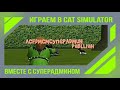 Играем в Cat Simulator вместе с СуперАдмином! [18+]