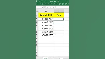 Excel Age Calculation 🧮||#Excel #shorts #pc