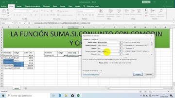 Función suma.si.conjunto con criterio y comodin