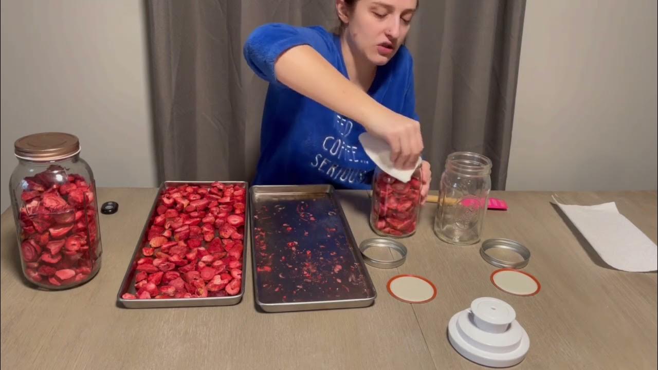 How To Freeze Dry Strawberries To Get BEST Strawberries How To Store Freeze Dried Food In Ball