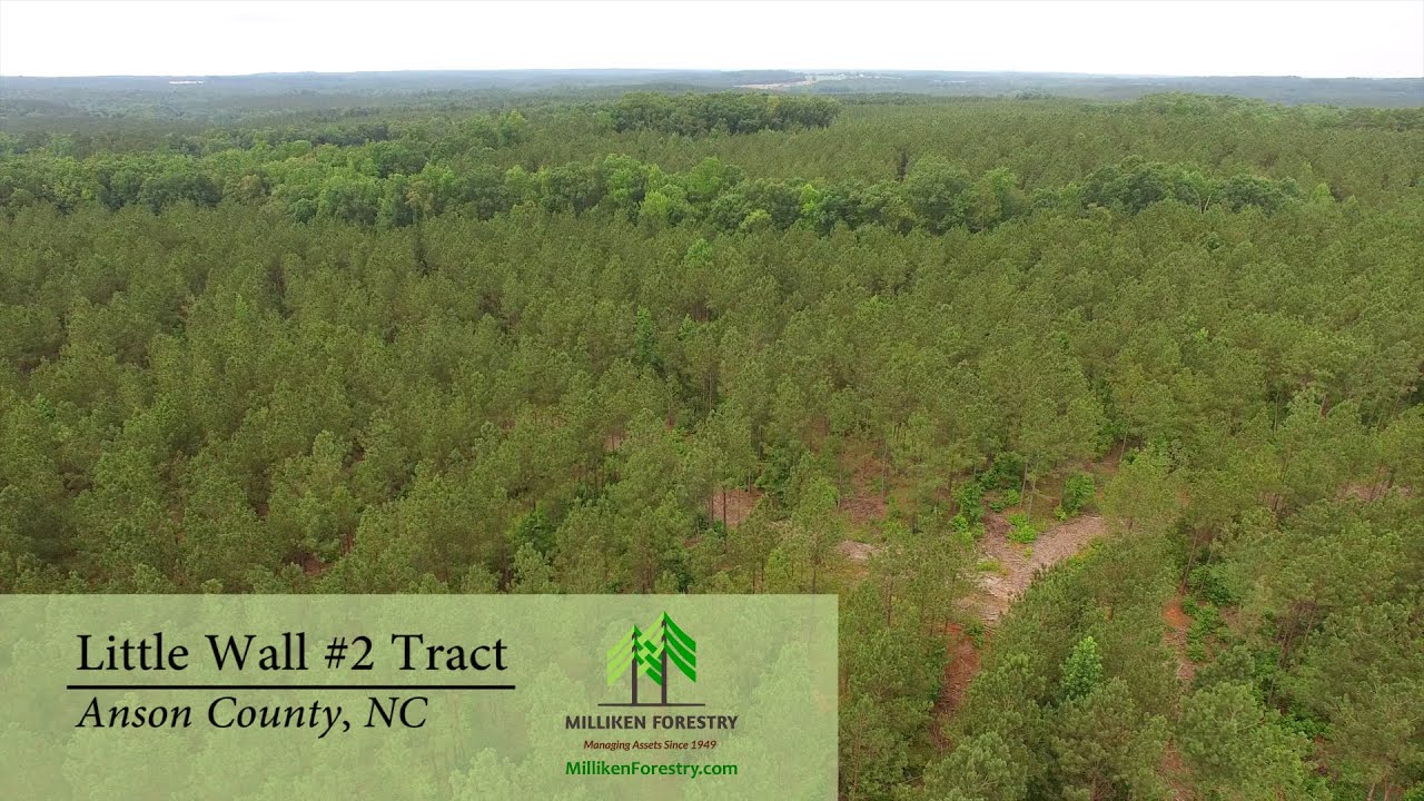 Milliken Forestry Company Little Wall 2 Tract Anson County NC