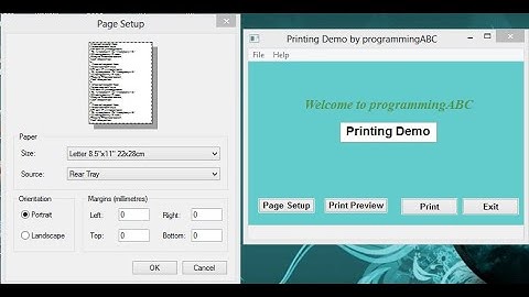 wxWidgets :: CodeBlock :  Print with a printer (Part-1)