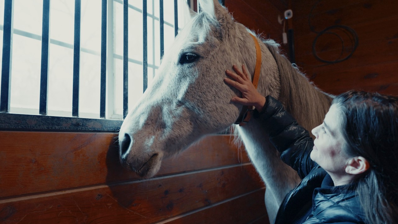 Lucky Orphans Horse Rescue - The Year of The Horse