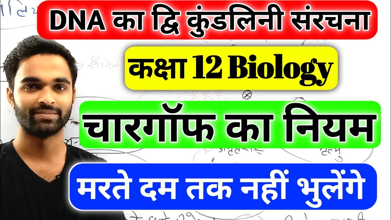 चारगॉफ का नियम(Charafgaf's rule) Class 12th Biology Important