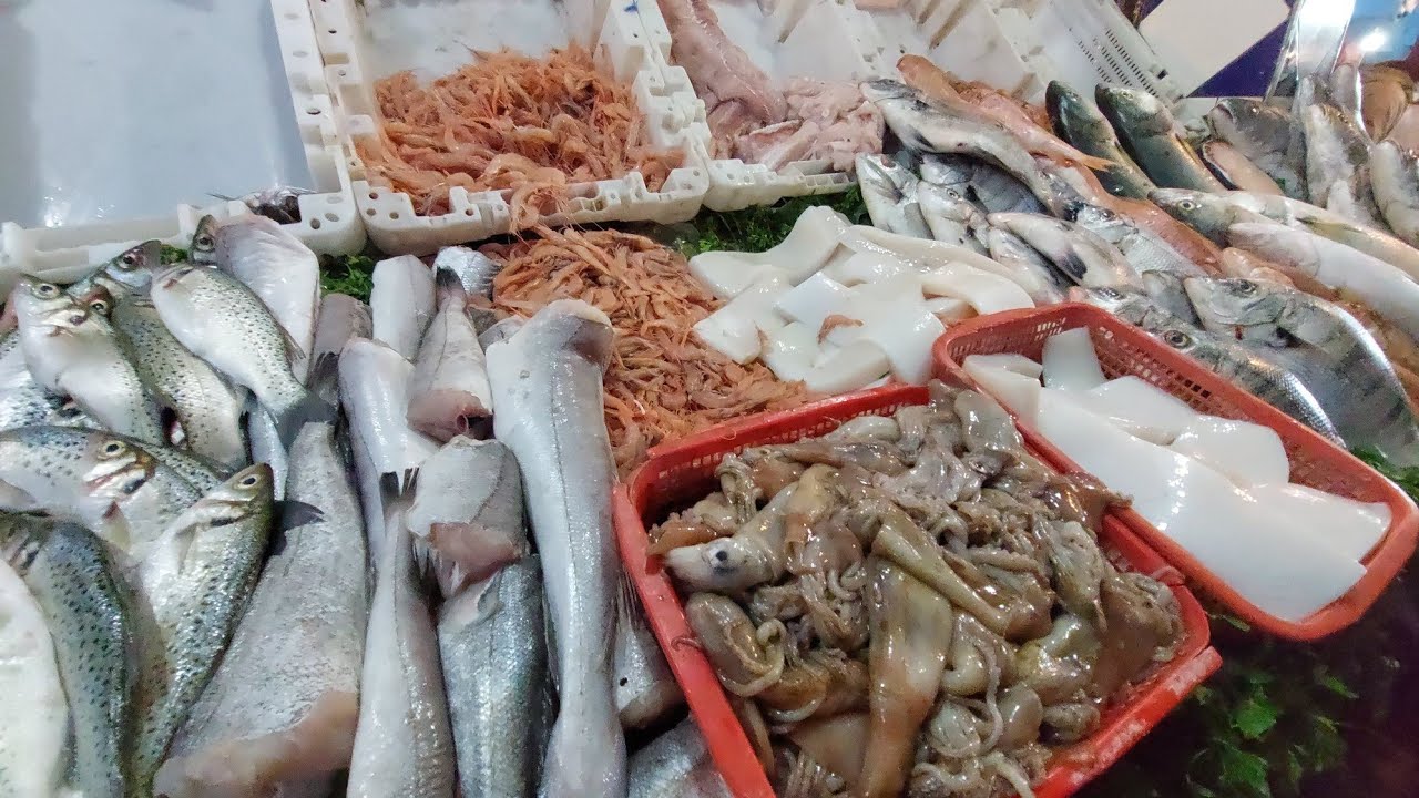 مباشرة من مدينة سطات في سوق شطيبة عندا مول حوت أجيو نشوفو أتمنة جميع أنواع الحوت