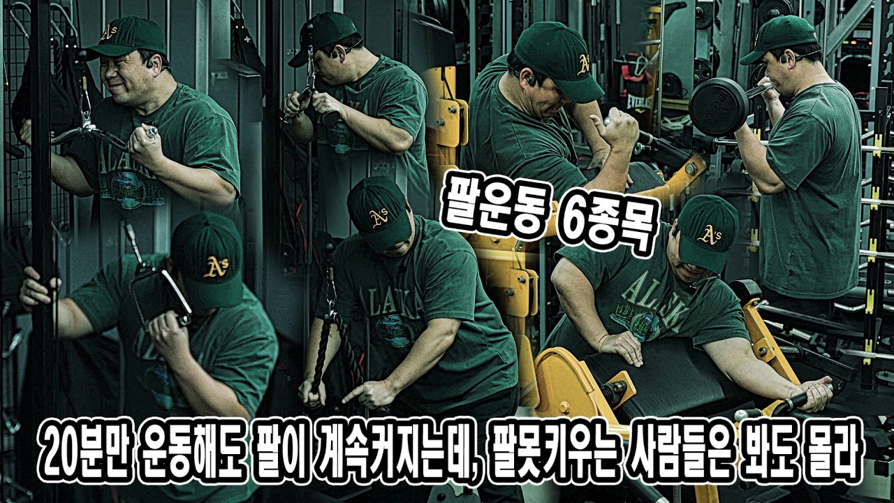 20분만 운동해도 팔이 계속커지는데, 팔못키우는 사람들은 봐도 몰라 | 팔운동 6종목