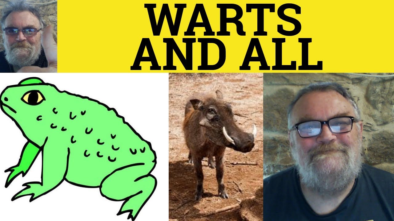  Warts And All Meaning Warts And All Definition Idioms Warts And 