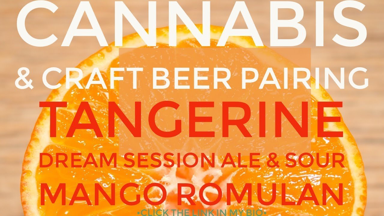 Craft Beer & Cannabis Pairing | Tangerine Dream Session Ale & Sour Mango Romulan