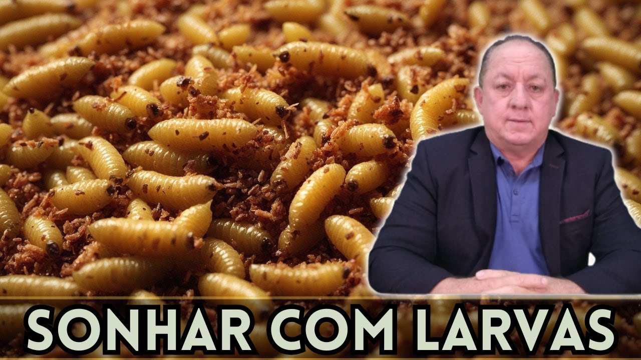 O QUE SIGNIFICA SONHAR COM LARVAS - YouTube