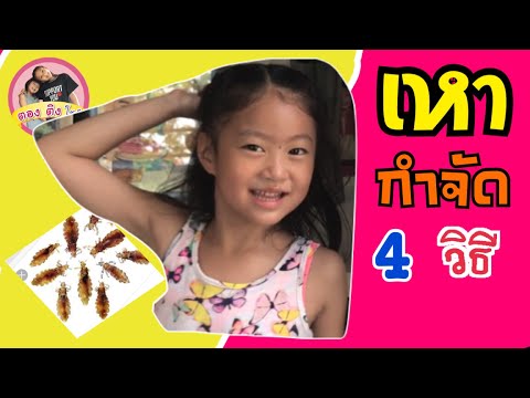 วีดีโอ: 4 วิธีป้องกันเหา