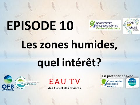 Les zones humides, quels intérêts ?