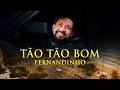 TÃO TÃO BOM (SO SO GOOD) | Fernandinho