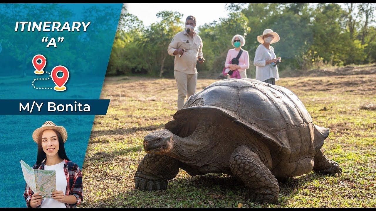 The Best Navigation Through The Galapagos Aboard The BONITA Yatch 🚢 ITINERARY A YouTube