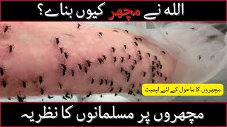 Why Allah Created Mosquitoes | Why They're Important for Environment | Muslim Perspective  | Aam TV