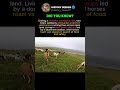 A Rare Wild Horse Encounter