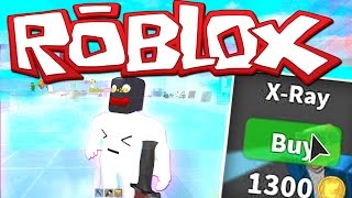 the x ray roblox