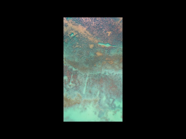 acid ghost - nature (poem)
