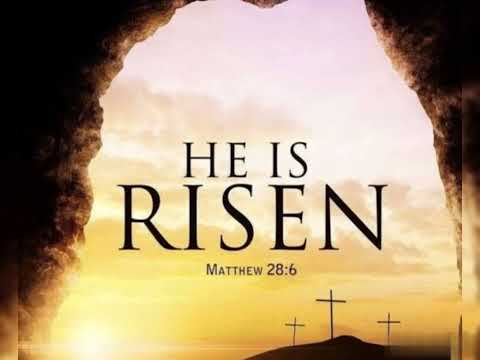 Easter Status Video 2024 | Happy Easter Status | Christ Risen | Easter Whatsapp Status #easter2024