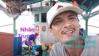 Nhân Trương Vlog | Tình hình nguồn cá trong nước và quốc tế