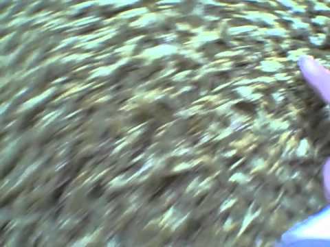 5950 S Main St, Sandy Creek, NY home video tour