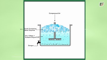 Froth Floatation Process