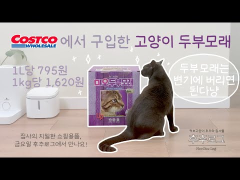 코스트코 고양이 모래 리뷰 | 두부모래 사용 이유 | 모래 비교 | 미오 두부모래 극세입자 라벤더향 | 후추로그
