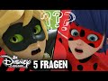 5 neue Fragen! | MIRACULOUS 🐞🐱