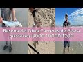 Reseña del Diwa Carretes de Pesca giratorios 8000 10000 12000 Agua Salada de Agua Dulce Pesca de Caz