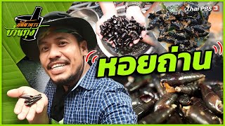 หอยถ่าน | ภัตตาคารบ้านทุ่ง