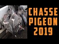 CHASSE PIGEON - PALOMBE 2019