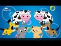 Edewcate english rhymes - Animal Sounds song