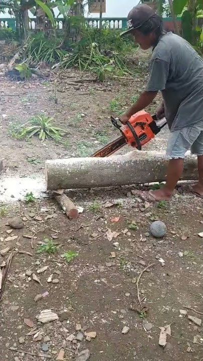 Gergaji Kayu Chainsaw 22 inch Yamamax Pro Gx 58 Gergaji Mesin