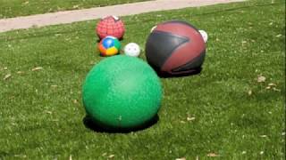Things We Do On SYNLawn