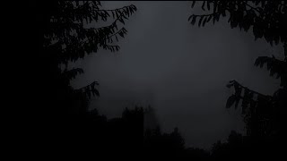 3 Hours night rain in the forest for relaxation sounds and sleep, relax, study, black screen