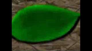 Animasi Batu Belah Batu Bertangkup #WazuAnimation