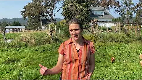 HMI Practitioner Spotlight: Angela Boudro